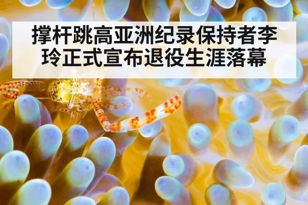 撑杆跳高亚洲纪录保持者李玲正式宣布退役生涯落幕